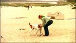 Filename=VM_1x01_Pilot_201.jpg
Filesize=328KB
Dimensions=1280x720
Date added=Oct 29, 2005 VM_1x01_Pilot_201.jpg