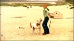 Filename=VM_1x01_Pilot_202.jpg
Filesize=328KB
Dimensions=1280x720
Date added=Oct 29, 2005 VM_1x01_Pilot_202.jpg