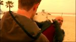 Filename=VM_1x01_Pilot_728.jpg
Filesize=208KB
Dimensions=1280x720
Date added=Oct 29, 2005 VM_1x01_Pilot_728.jpg