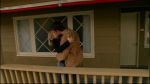 Filename=VM_1x18_WoCD_474.jpg
Filesize=197KB
Dimensions=1280x720
Date added=Nov 21, 2005 VM_1x18_WoCD_474.jpg
