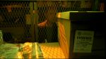 Filename=VM_2x12_RaWGtWC_023.jpg
Filesize=258KB
Dimensions=1280x720
Date added=Nov 13, 2006 VM_2x12_RaWGtWC_023.jpg